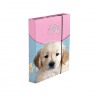 kolsk box A5 PUPPY PP JUMBO
