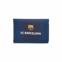 Peaenka FC Barcelona 530276