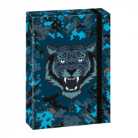 kolsk box A4 ROAR OF TIGER