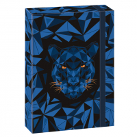 kolsk box A4 BLACK PANTHER