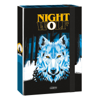 Školský box A4 NIGHTWOLF