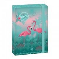 kolsk box A4 FLAMINGO