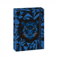 kolsk box A5 BLACK PANTHER