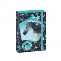 kolsk box A5 MORNING STAR HORSE