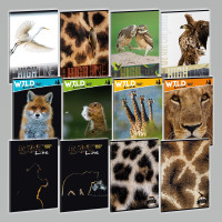 Zoit A4 40 listov Wild Life Moments