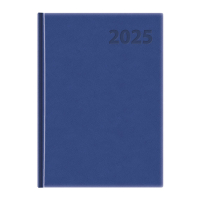 PG Manager DirD-01 modr 2024
