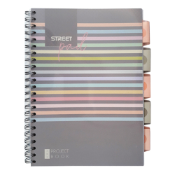 pirlov zoit A4 100l linkovan STREET Stripes
