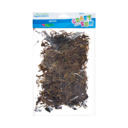 Hobby CraftFun mach prrodn/50g 463844
