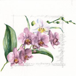 Papierov obrsky TI-FLAIR 33x33cm 3 vrstvov 3-67836FL