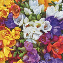 Papierov obrsky TI-FLAIR 33x33cm 3 vrstvov 3-89052SP