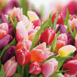 Papierov obrsky TI-FLAIR 33x33cm 3 vrstvov 3-89143SP