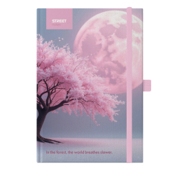 Z�pisn�k B5 linkovan� 96listov� Awaken