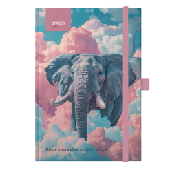 Z�pisn�k B5 linkovan� 96listov� Elephant