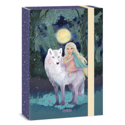 �kolsk� box A4 Northern Lights ARS UNA