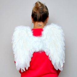 Vian.M kr�dla 8885878