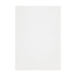 Vizitkov� papier Rives Basane Bright white 250g
