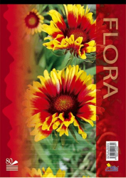 14084/4b BLOK A4 LINAJKOV 80 list.it 10/1200