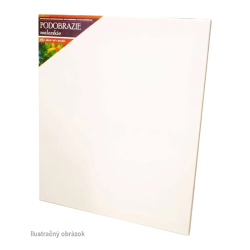 PLATNO 40X60 A1040x60