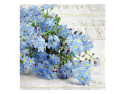 SERVTKY P 33X33 celorok SDL120108   2011094